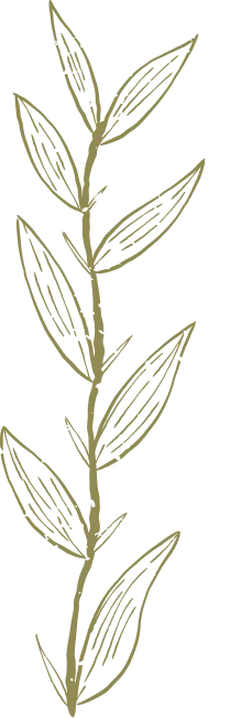Tige végétale verticale stylisée