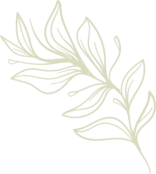 Feuillage graphique en éventail