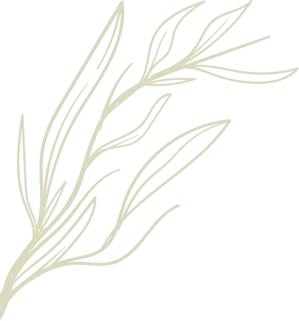 Branche feuillue stylisée