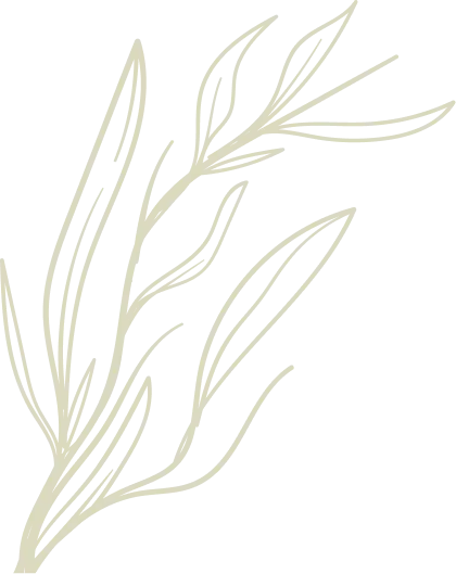 Cadre décoratif de feuilles fines