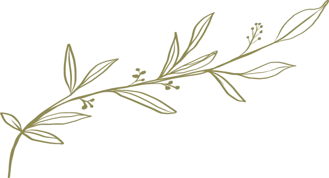 Motif branche fine illustrée