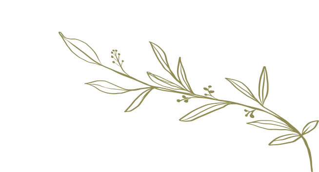 Frise de feuillage stylisé